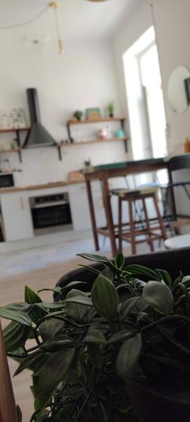 Appartement coquet coeur de ville